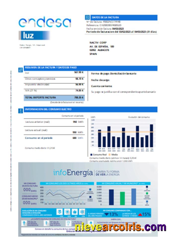 Endesa luz utility business bill